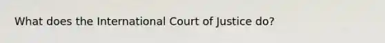 What does the International Court of Justice do?