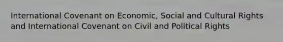 International Covenant on Economic, Social and Cultural Rights and International Covenant on Civil and Political Rights