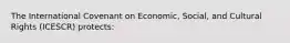 The International Covenant on Economic, Social, and Cultural Rights (ICESCR) protects: