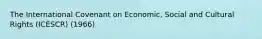 The International Covenant on Economic, Social and Cultural Rights (ICESCR) (1966)