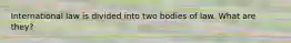 International law is divided into two bodies of law. What are they?
