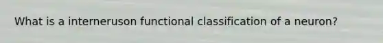 What is a interneruson functional classification of a neuron?