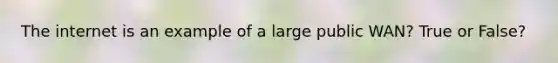 The internet is an example of a large public WAN? True or False?