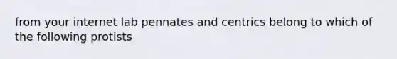 from your internet lab pennates and centrics belong to which of the following protists