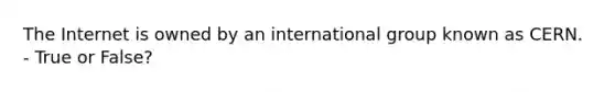 The Internet is owned by an international group known as CERN. - True or False?