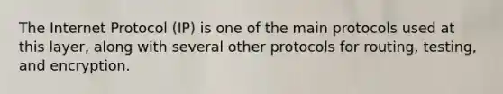 The Internet Protocol (IP) is one of the main protocols used at this layer, along with several other protocols for routing, testing, and encryption.