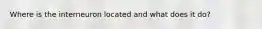 Where is the interneuron located and what does it do?