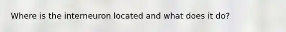 Where is the interneuron located and what does it do?