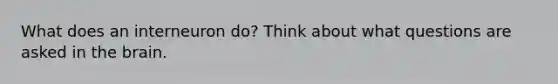 What does an interneuron do? Think about what questions are asked in the brain.
