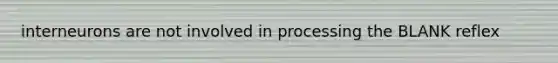 interneurons are not involved in processing the BLANK reflex