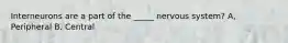 Interneurons are a part of the _____ nervous system? A, Peripheral B. Central