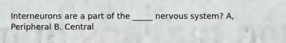 Interneurons are a part of the _____ nervous system? A, Peripheral B. Central