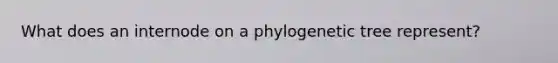 What does an internode on a phylogenetic tree represent?