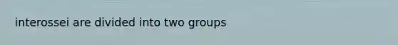 interossei are divided into two groups