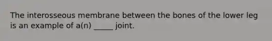 The interosseous membrane between the bones of the lower leg is an example of a(n) _____ joint.