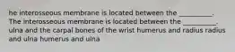 he interosseous membrane is located between the __________. The interosseous membrane is located between the __________. ulna and the carpal bones of the wrist humerus and radius radius and ulna humerus and ulna