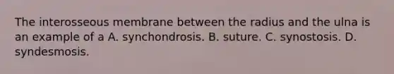 The interosseous membrane between the radius and the ulna is an example of a A. synchondrosis. B. suture. C. synostosis. D. syndesmosis.