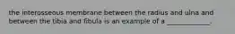 the interosseous membrane between the radius and ulna and between the tibia and fibula is an example of a _____________.