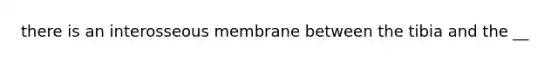 there is an interosseous membrane between the tibia and the __