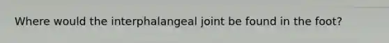 Where would the interphalangeal joint be found in the foot?