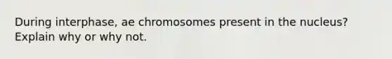 During interphase, ae chromosomes present in the nucleus? Explain why or why not.