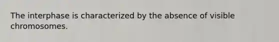 The interphase is characterized by the absence of visible chromosomes.