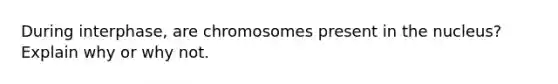 During interphase, are chromosomes present in the nucleus? Explain why or why not.