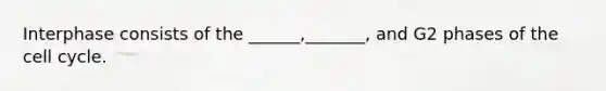 Interphase consists of the ______,_______, and G2 phases of the cell cycle.