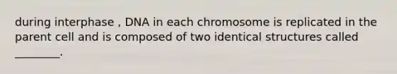 during interphase , DNA in each chromosome is replicated in the parent cell and is composed of two identical structures called ________.