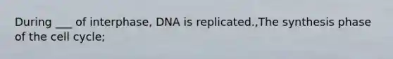 During ___ of interphase, DNA is replicated.,The synthesis phase of the cell cycle;