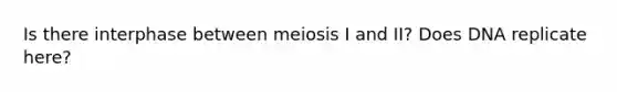 Is there interphase between meiosis I and II? Does DNA replicate here?