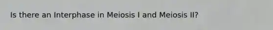 Is there an Interphase in Meiosis I and Meiosis II?