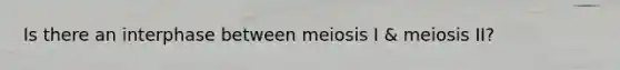 Is there an interphase between meiosis I & meiosis II?