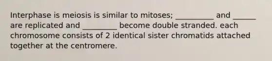 Interphase is meiosis is similar to mitoses; __________ and ______ are replicated and _________ become double stranded. each chromosome consists of 2 identical sister chromatids attached together at the centromere.