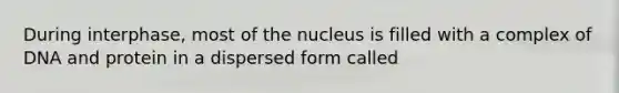 During interphase, most of the nucleus is filled with a complex of DNA and protein in a dispersed form called