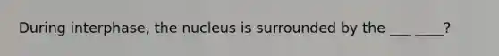 During interphase, the nucleus is surrounded by the ___ ____?