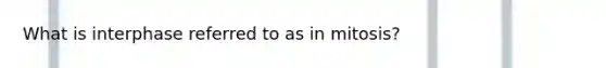 What is interphase referred to as in mitosis?