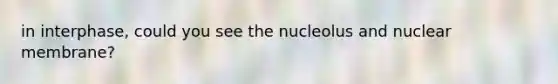 in interphase, could you see the nucleolus and nuclear membrane?