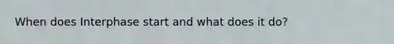 When does Interphase start and what does it do?