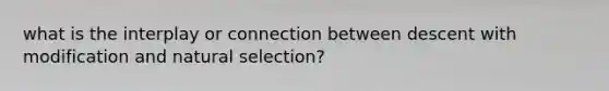 what is the interplay or connection between descent with modification and natural selection?