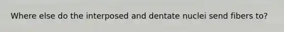 Where else do the interposed and dentate nuclei send fibers to?