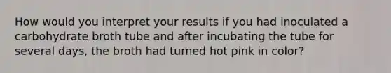 How would you interpret your results if you had inoculated a carbohydrate broth tube and after incubating the tube for several days, the broth had turned hot pink in color?