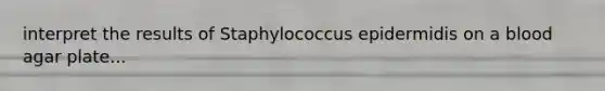 interpret the results of Staphylococcus epidermidis on a blood agar plate...