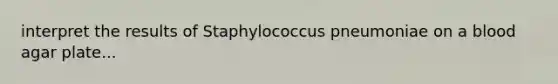 interpret the results of Staphylococcus pneumoniae on a blood agar plate...