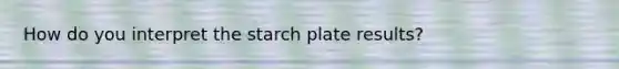 How do you interpret the starch plate results?