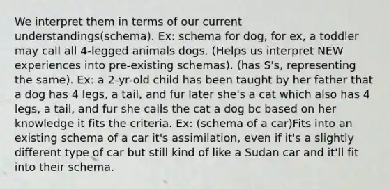 We interpret them in terms of our current understandings(schema). Ex: schema for dog, for ex, a toddler may call all 4-legged animals dogs. (Helps us interpret NEW experiences into pre-existing schemas). (has S's, representing the same). Ex: a 2-yr-old child has been taught by her father that a dog has 4 legs, a tail, and fur later she's a cat which also has 4 legs, a tail, and fur she calls the cat a dog bc based on her knowledge it fits the criteria. Ex: (schema of a car)Fits into an existing schema of a car it's assimilation, even if it's a slightly different type of car but still kind of like a Sudan car and it'll fit into their schema.