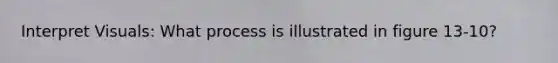 Interpret Visuals: What process is illustrated in figure 13-10?