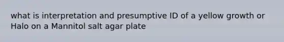 what is interpretation and presumptive ID of a yellow growth or Halo on a Mannitol salt agar plate