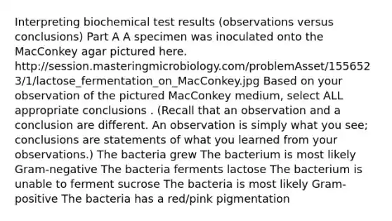 Interpreting biochemical test results (observations versus conclusions) Part A A specimen was inoculated onto the MacConkey agar pictured here. http://session.masteringmicrobiology.com/problemAsset/1556523/1/lactose_fermentation_on_MacConkey.jpg Based on your observation of the pictured MacConkey medium, select ALL appropriate conclusions . (Recall that an observation and a conclusion are different. An observation is simply what you see; conclusions are statements of what you learned from your observations.) The bacteria grew The bacterium is most likely Gram-negative The bacteria ferments lactose The bacterium is unable to ferment sucrose The bacteria is most likely Gram-positive The bacteria has a red/pink pigmentation