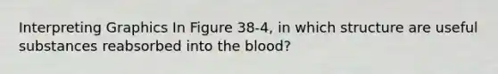 Interpreting Graphics In Figure 38-4, in which structure are useful substances reabsorbed into the blood?